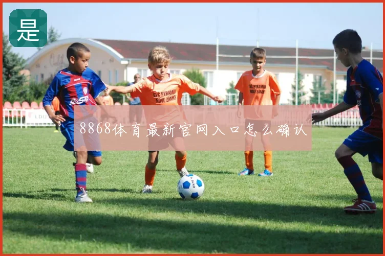 8868体育最新官网入口怎么确认